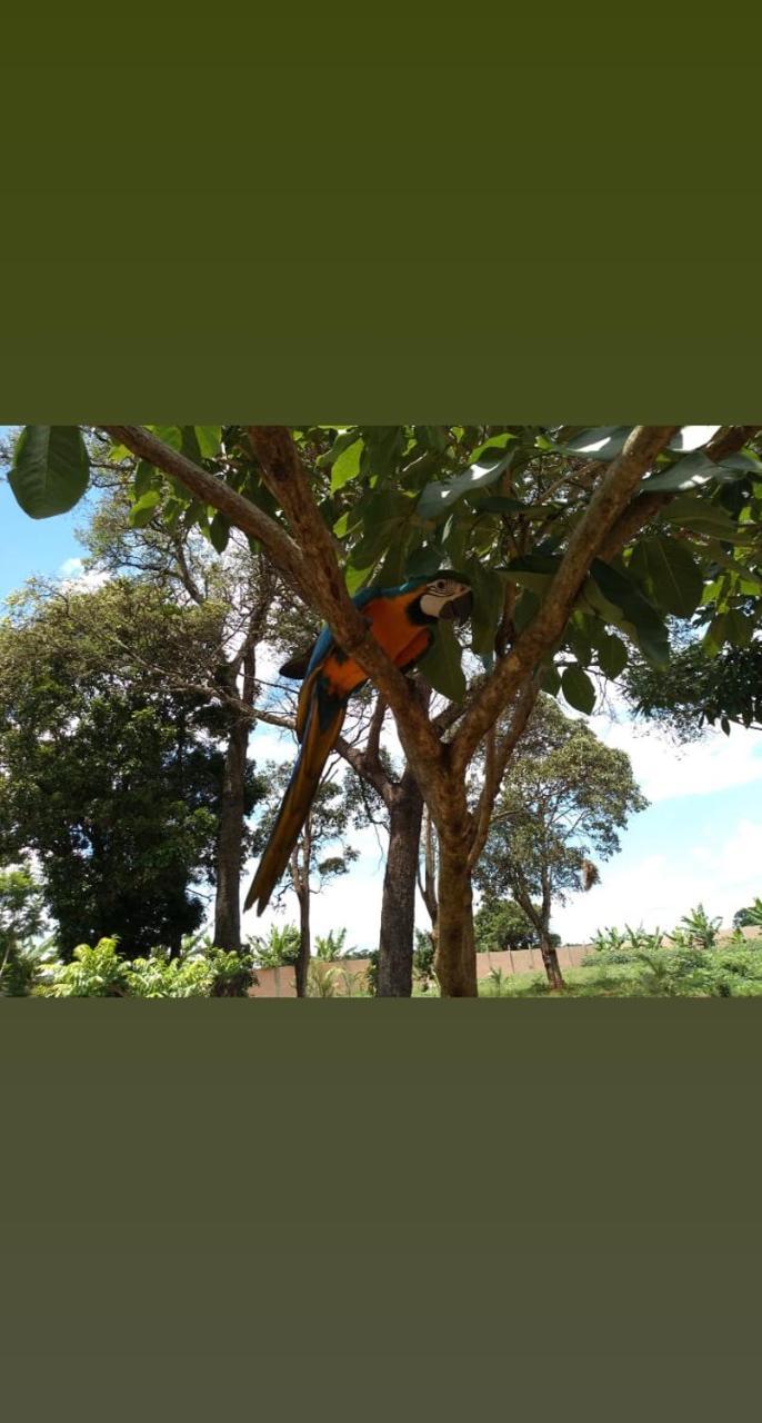 Pousada Cafe Da Roca Campos Gerais Eksteriør billede