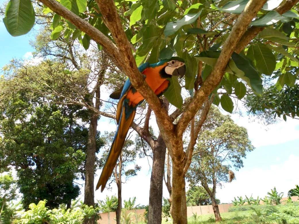 Pousada Cafe Da Roca Campos Gerais Eksteriør billede